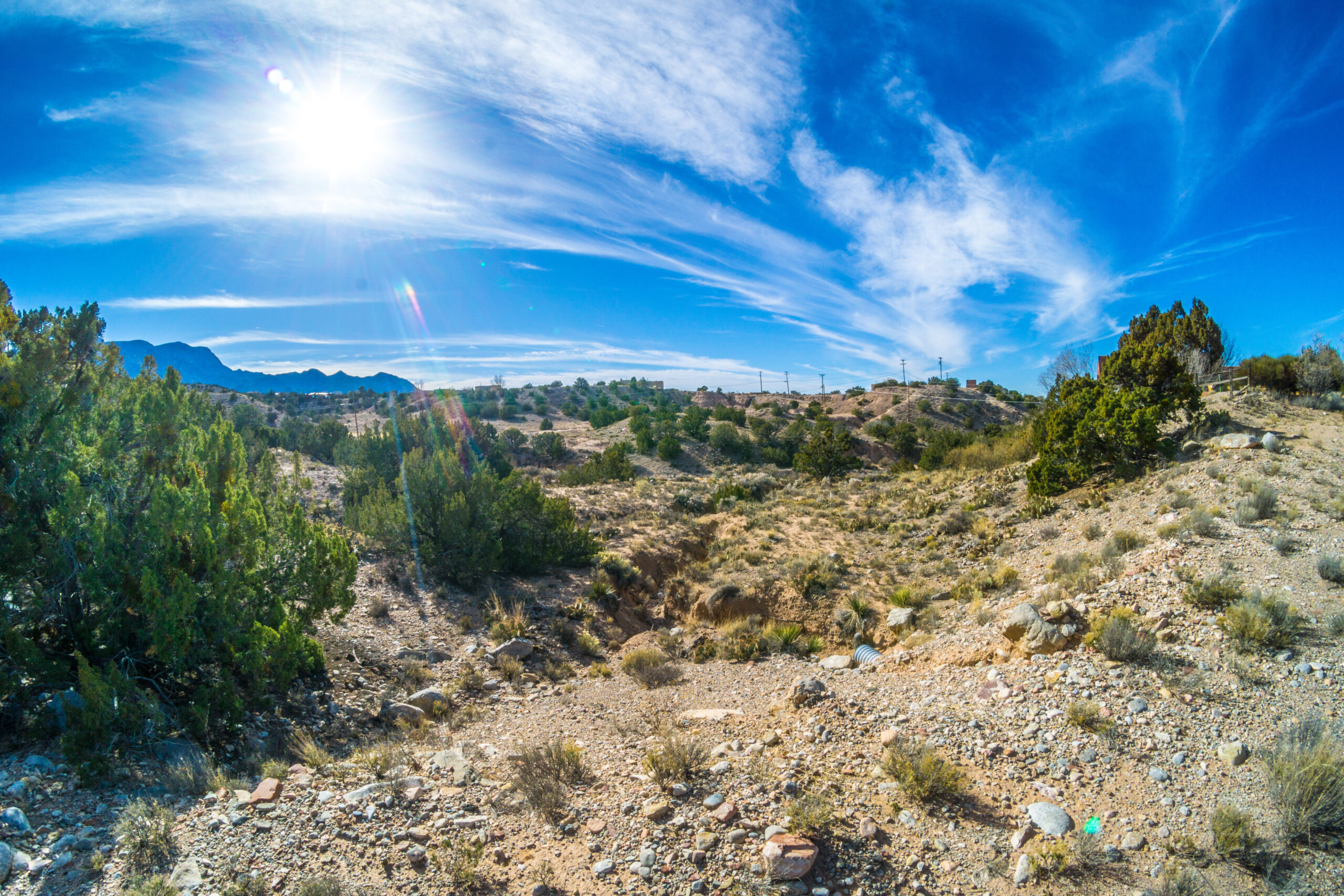 Featured image for “Placitas Hiking Trails”