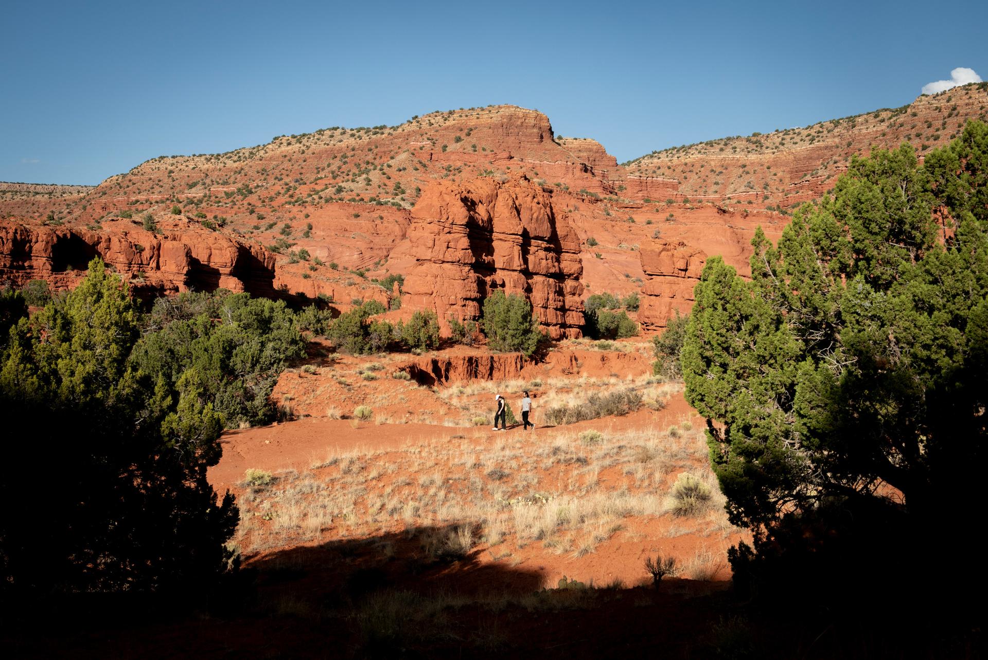 Featured image for “Jemez Springs Shines Bright”